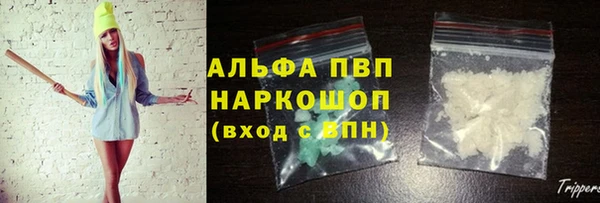 PSILOCYBIN Бронницы