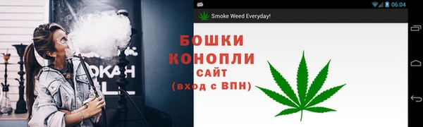 ПСИЛОЦИБИНОВЫЕ ГРИБЫ Бородино