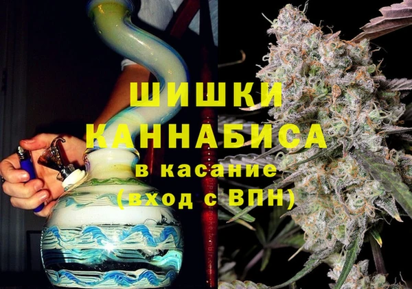 ПСИЛОЦИБИНОВЫЕ ГРИБЫ Бородино