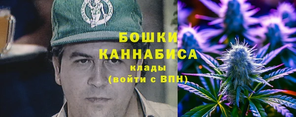ПСИЛОЦИБИНОВЫЕ ГРИБЫ Бородино