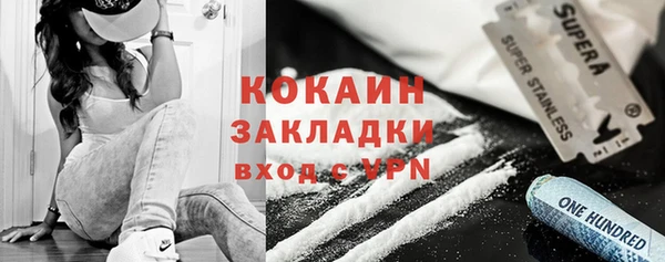 ПСИЛОЦИБИНОВЫЕ ГРИБЫ Бородино